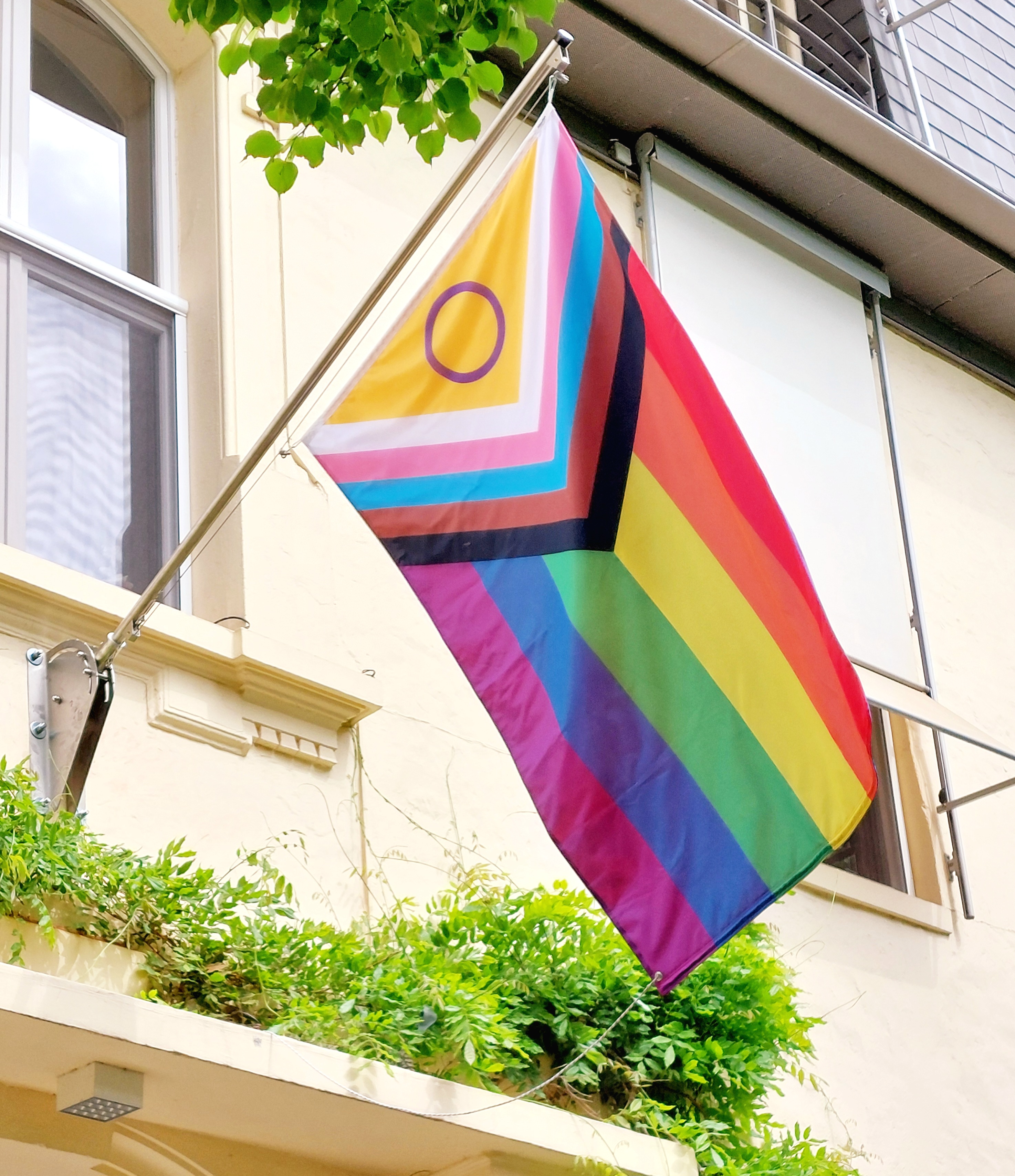 Progress Pride Flag